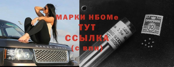 индика Алексин