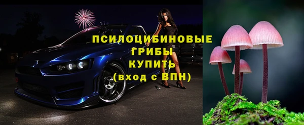 индика Алексин