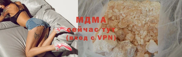 индика Алексин