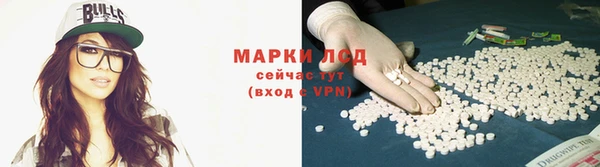индика Алексин