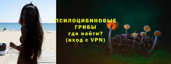 индика Алексин