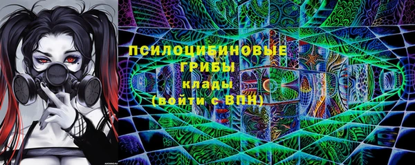 прущие крисы Алексеевка