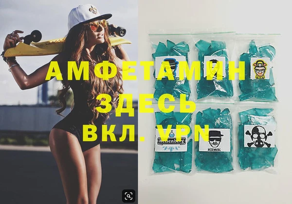 индика Алексин
