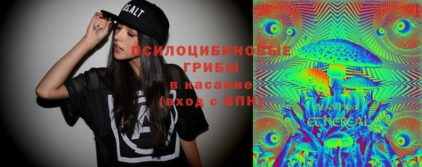 индика Алексин