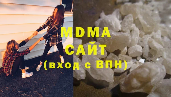 индика Алексин