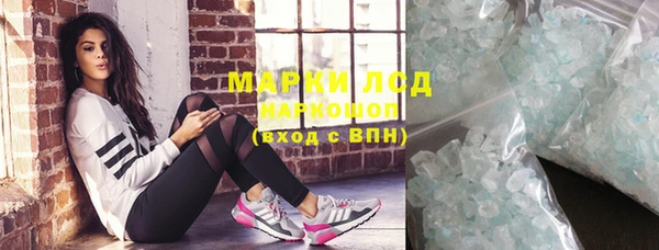 индика Алексин